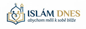 Muslimské zpravodajství